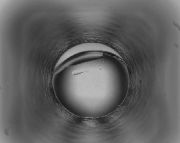 X0000096460417200801311516
