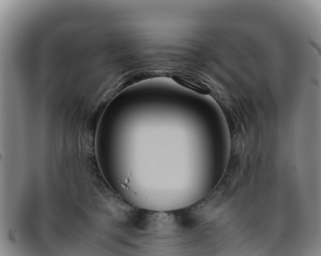 X0000096460421200801311516