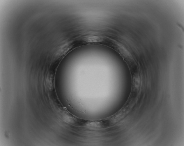 X0000096460422200801311516