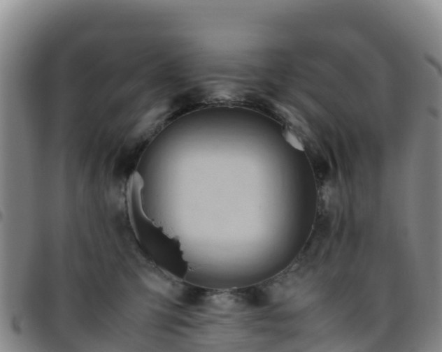 X0000096460423200801311516