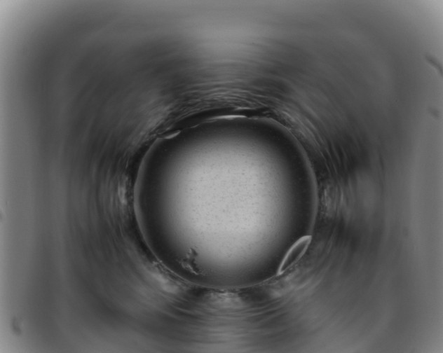 X0000096460424200801311516