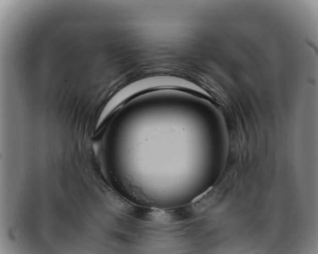 X0000096460425200801311516