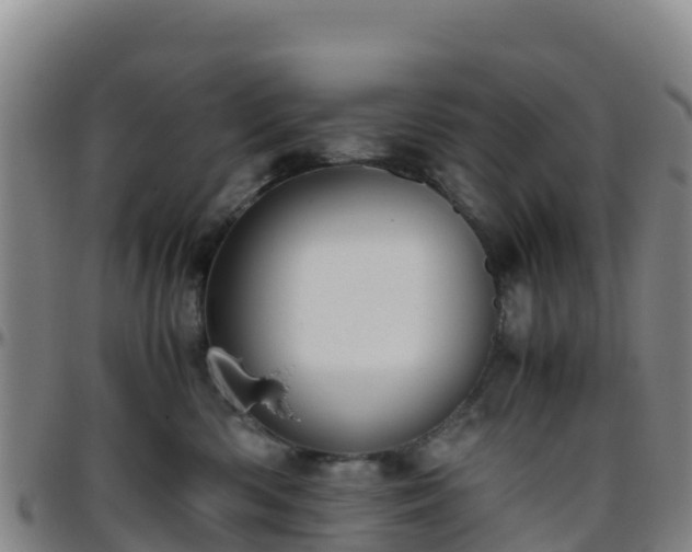 X0000096460426200801311516