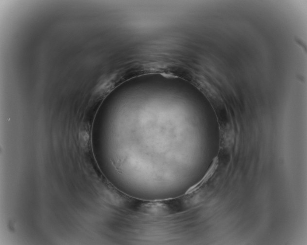 X0000096460427200801311516