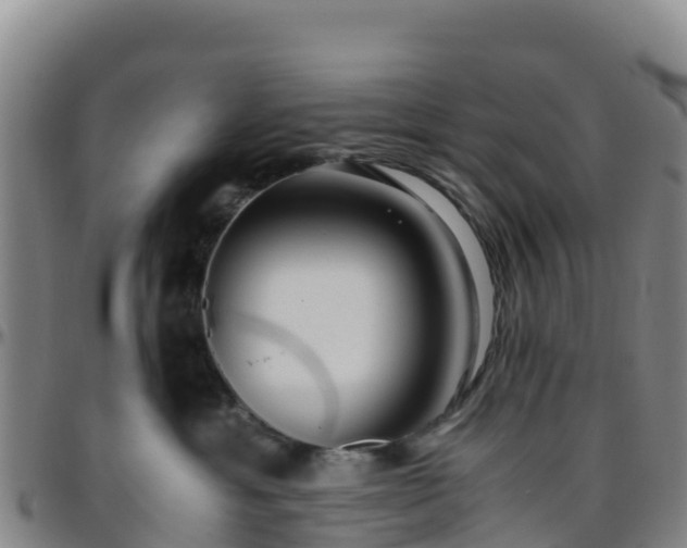 X0000096460429200801311516