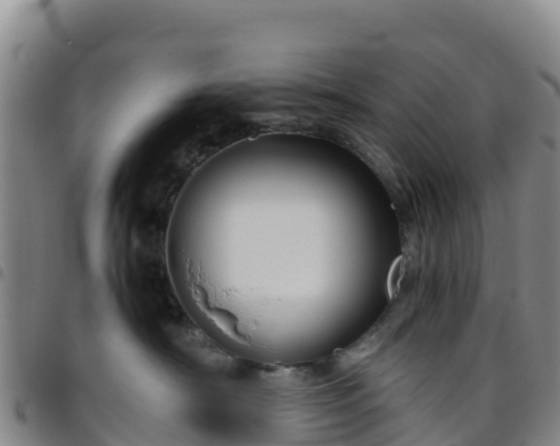 X0000096460430200801311516
