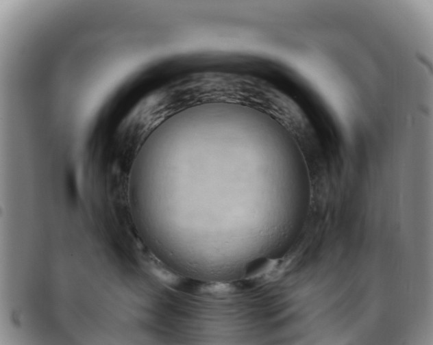 X0000096460431200801311516