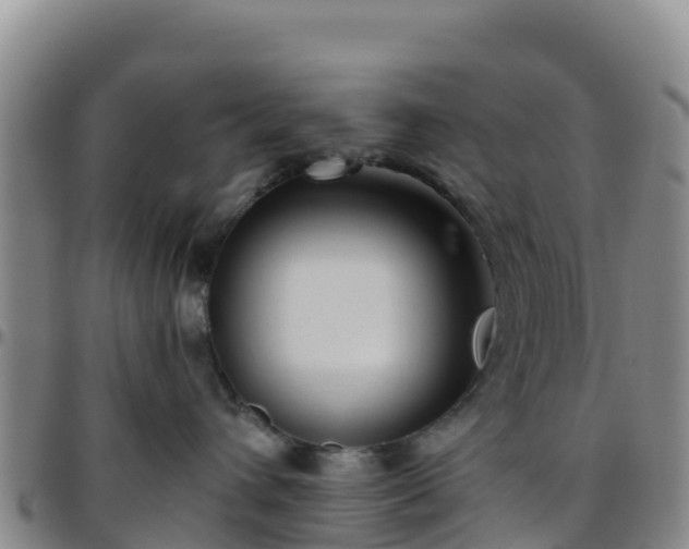 X0000096460432200801311516
