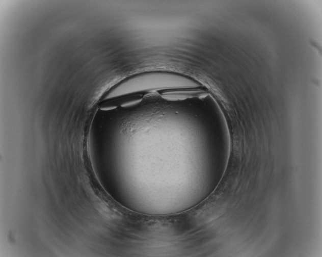 X0000096460434200801311515