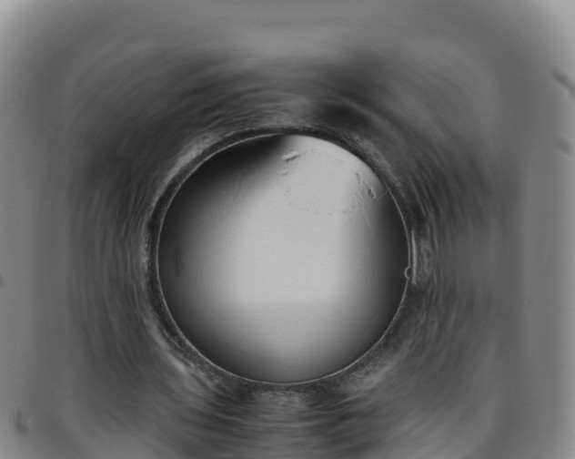 X0000096460435200801311515
