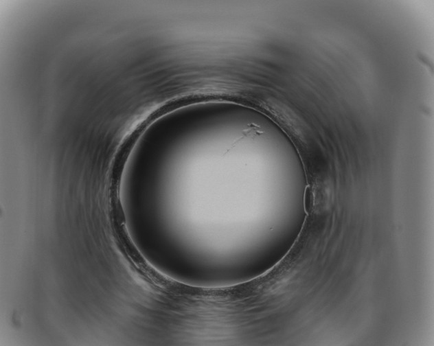 X0000096460436200801311515