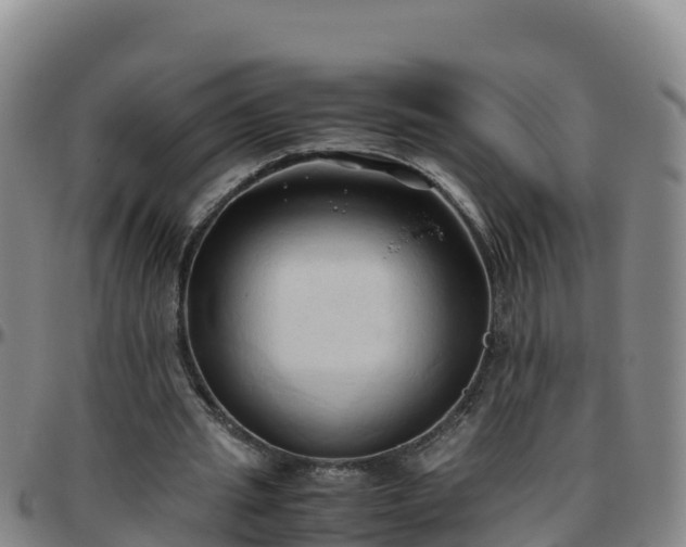 X0000096460437200801311515