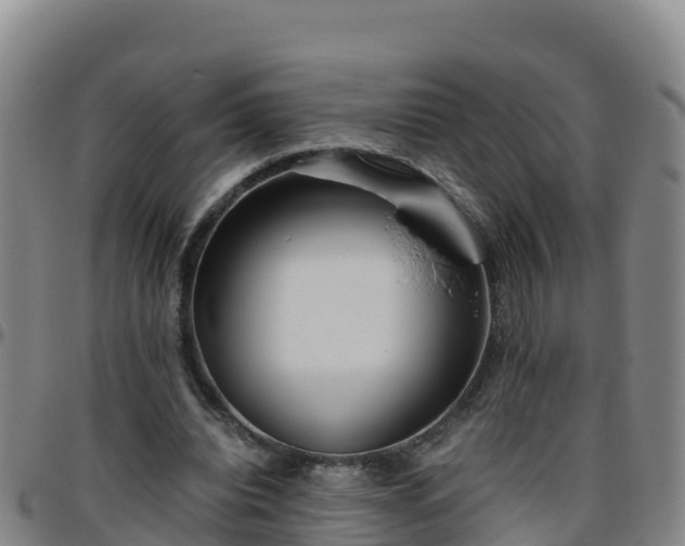 X0000096460440200801311515