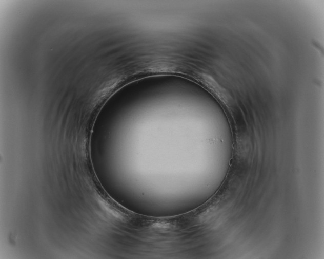 X0000096460441200801311515