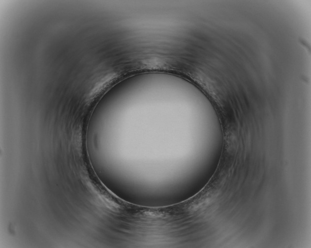 X0000096460442200801311515
