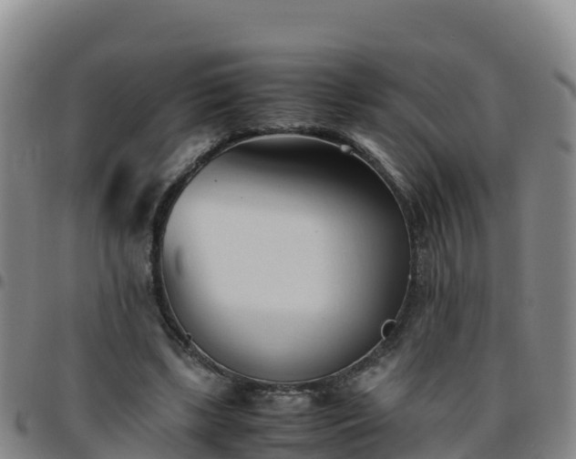 X0000096460443200801311515