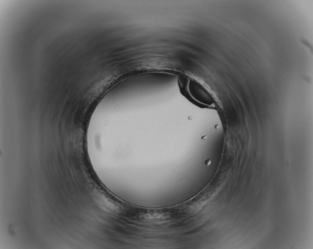 X0000096460445200801311515