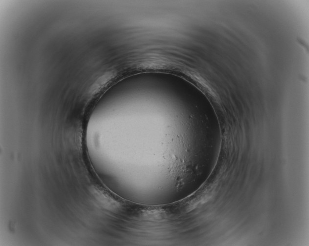 X0000096460446200801311515