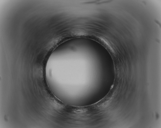 X0000096460447200801311515