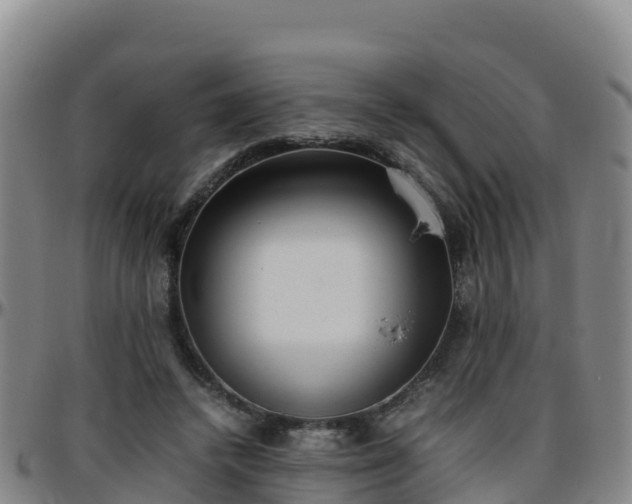 X0000096460448200801311515