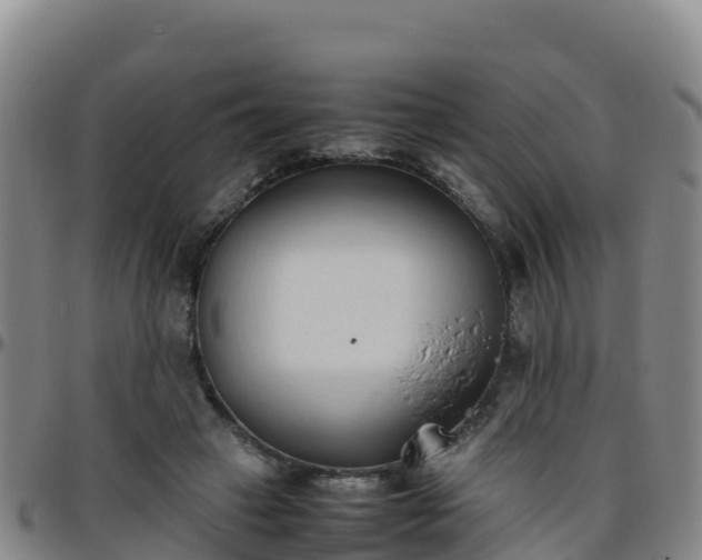 X0000096460449200801311516