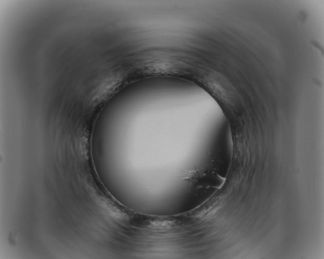 X0000096460450200801311516