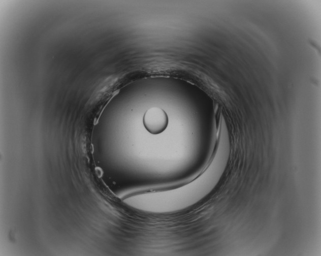 X0000096460452200801311516