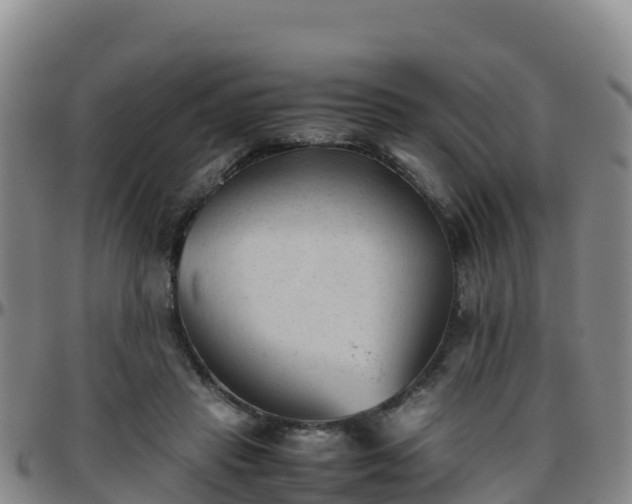 X0000096460453200801311516