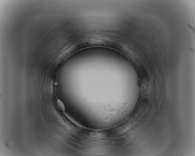 X0000096460454200801311516