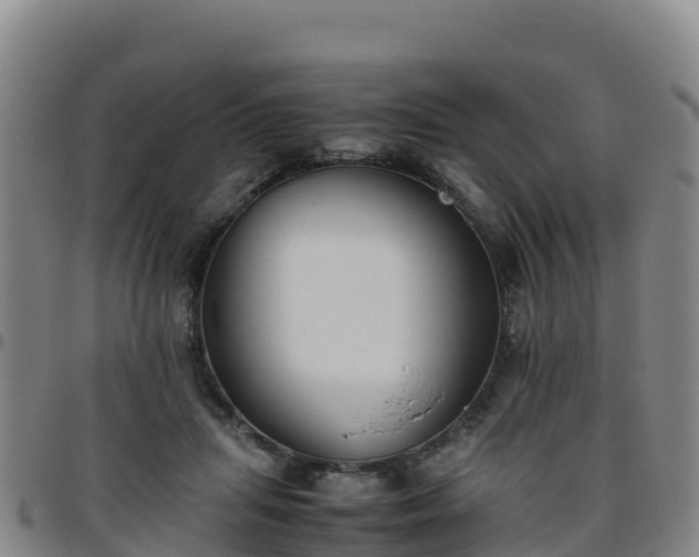 X0000096460455200801311516