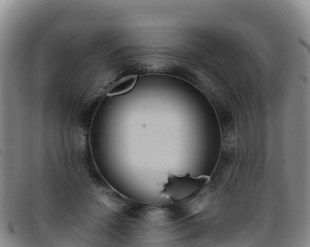 X0000096460456200801311516