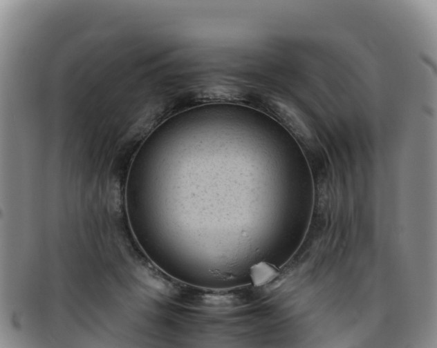 X0000096460457200801311516