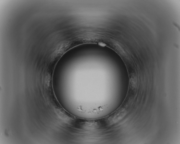 X0000096460458200801311516