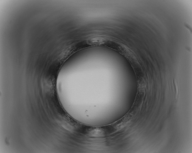 X0000096460460200801311516