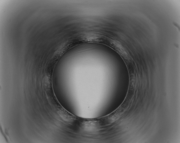 X0000096460461200801311516