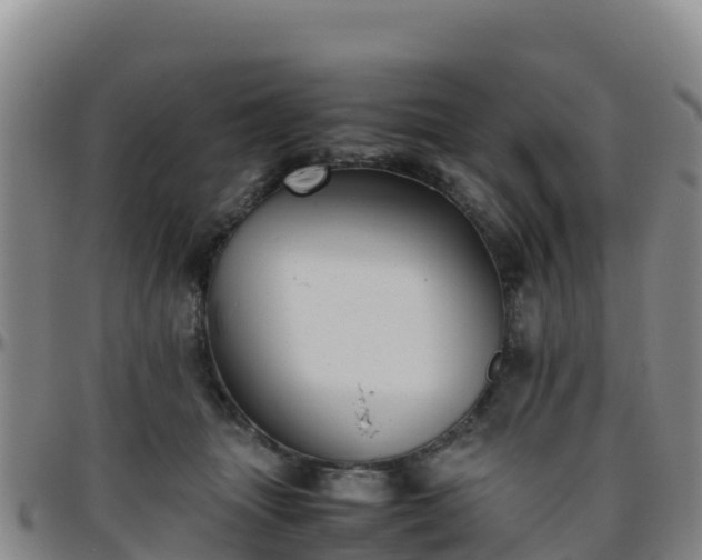 X0000096460463200801311516