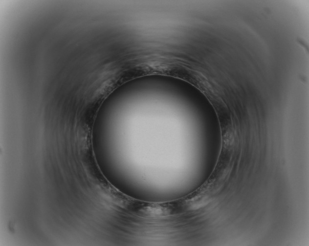 X0000096460464200801311516