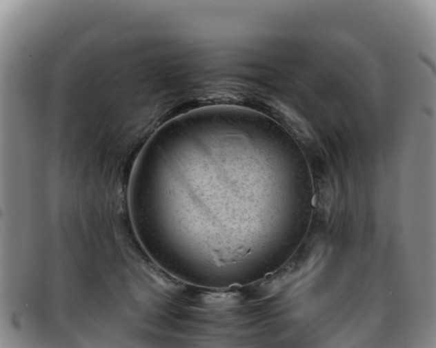 X0000096460465200801311516