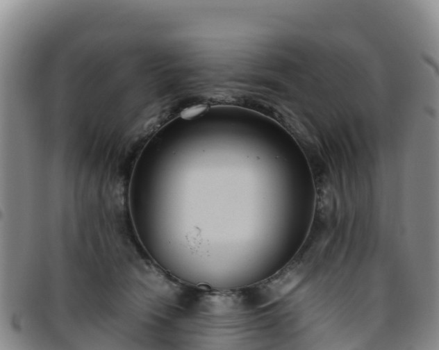 X0000096460466200801311516