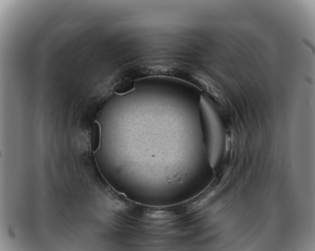 X0000096460467200801311516