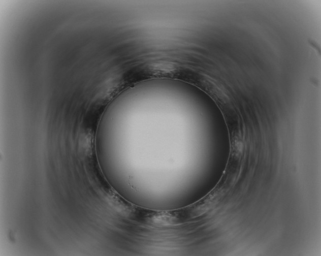 X0000096460468200801311516