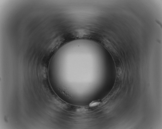 X0000096460470200801311516