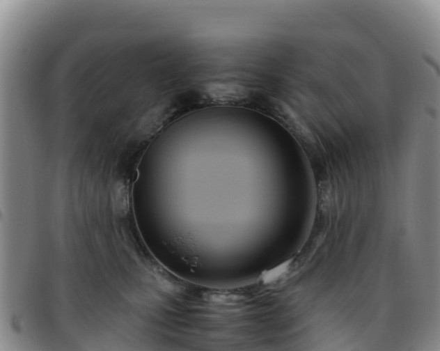 X0000096460471200801311516