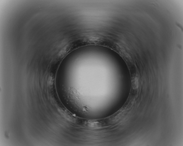X0000096460472200801311516