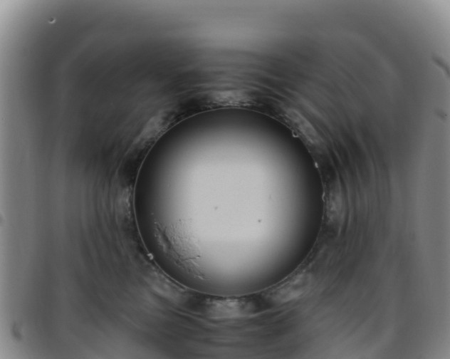 X0000096460473200801311516