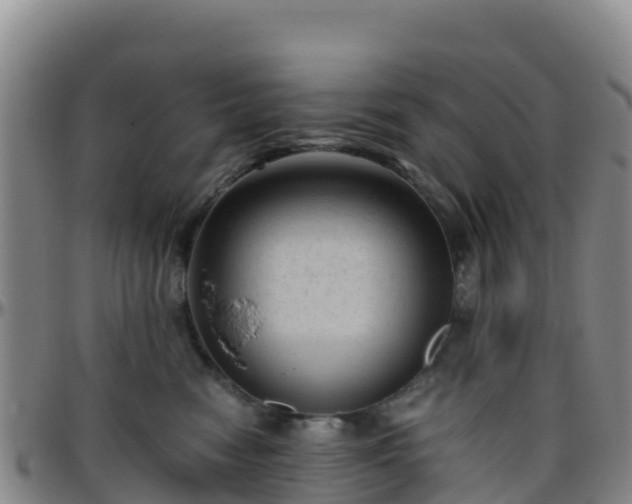 X0000096460474200801311516