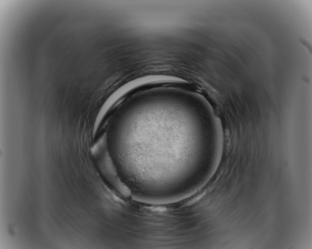 X0000096460475200801311516