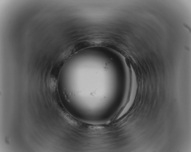 X0000096460476200801311516