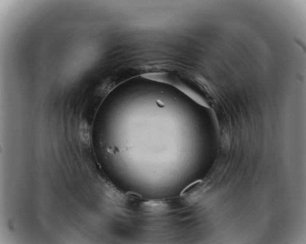 X0000096460477200801311516