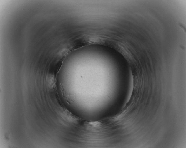 X0000096460478200801311516